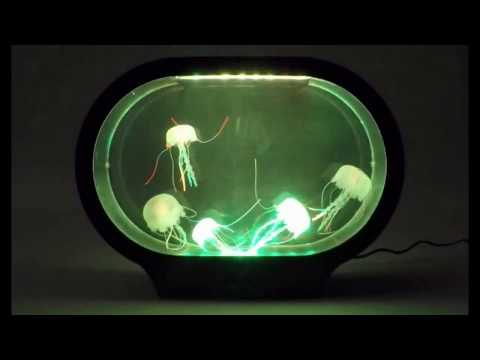 Jelly Fish Tank Desktop-Oval Shaped